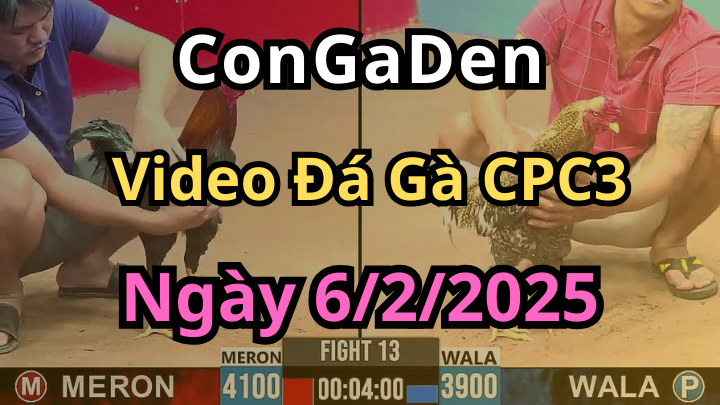 Clip Giải Đá Gà CPC3 Campuchia Ngày 6/2/2025