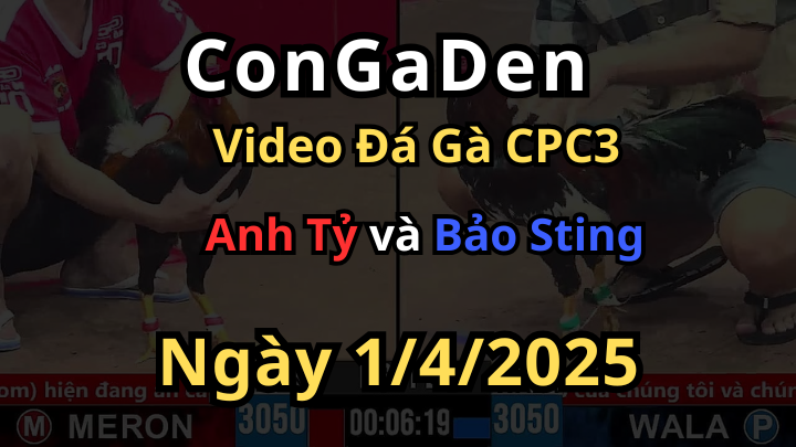 Bảo Sting ra quân hơi đuối bị dí tới cùng CPC3 1/4/2025